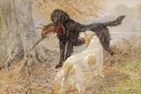 Retrievers at work by Basil Bradley, 1872, watercolour, offered Mar 2017