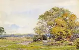 On the edge of the New Forest Signed Watercolour 16.5 x 25cm; 6½ x 10in Provenance: The Horner Galleries, Sheffield, No by Claude Hayes, Watercolour, sold Mar 2017
