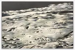 Crater 302 by Lowell Nesbitt, 1970, oil on canvas, sold Sep 2021