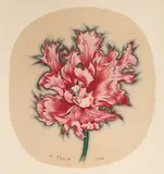 Parrot Tulip by Lowell Nesbitt, 1986, pastel on handmade paper, sold Oct 2021