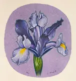 Violet Iris by Lowell Nesbitt, 1986, pastel on handmade paper, sold Oct 2021