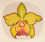 Green Orchid by Lowell Nesbitt, 1986, pastel on handmade paper, sold Oct 2021