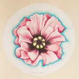 Pink Poppy by Lowell Nesbitt, 1986, pastel on handmade paper, sold Oct 2021