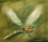 Dragonfly by Pro Hart, 1980, oil on composition board, sold Aug 2009