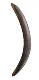 A Fine Hardwood Fighting Boomerang by Artefacts And Carvings, 19th Century of plano-convex section and crescent shape, with extensive fiddleback markings to both surfaces, old shiny, sold Oct 2009