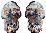Skull, Rorschach #4, Diptych by Ben Quilty, 2008, oil on linen, sold Nov 2009