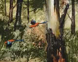 Parrots In Flight by Albert Tucker, oil on composition board, sold Nov 2009
