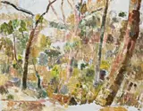 Ghost Gums by Grace Cossington Smith, 1959, oil on canvas on board, offered Nov 2009