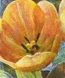 Open Tulip Iii by Tim Maguire, 1998, oil on paper (monotype), sold Nov 2009