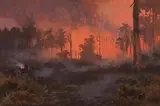 Fire In The Dandenong Ranges by Naylor Gill, oil on card, sold Nov 2009