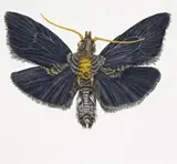 I’Ve Been Dead, There’S Nothing There (K.P.) by eX de Medici, 2007, watercolour on paper, sold Apr 2010