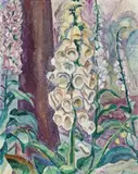 Foxgloves Growing by Grace Cossington Smith, c.1931, oil on pulp board, sold Apr 2010