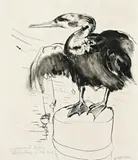 Cormorant by Brett Whiteley, 1971, pen and ink on paper, sold Apr 2010