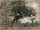 Chêne dans la forêt de Fontainebleau by Célestin Nanteuil, Fusain et rehauts de gouache blanche, sold Dec 2021