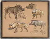 Etude de hyènes et phacochères by Georges Rötig, Aquarelle gouaché et encre, sold Nov 2024