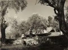Paysage du midi avec couple sur un mur by Denis Brihat, Photographie en noir et blanc, tirage argentique, sold May 2016