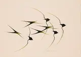 Swallows in Flight by Benjamin Chee Chee, 1974, acrylic on paper, sold May 2021