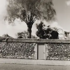 A Winchelsea Garden by Fay Godwin, gelatin silver print, sold Mar 2021