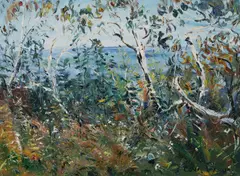 View Across Hicks Point in Croajingolong National Park [Vic] by Celia Perceval, Oil on Board, sold Oct 2026