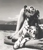 Herr und Hund, Portofino by Herbert List, 1936, Posthumer Silbergelatineabzug von Max Scheler, sold Jun 2023