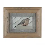 Pigeon Perched on a Roof by Leslie Macon, Acrylic on panel, sold May 2024