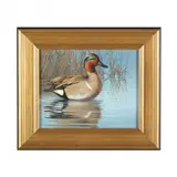 Greenwing Teal Drake by Guy Crittenden, Oil on masonite, sold May 2024