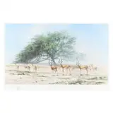 The Arabian Sand Gazelle and the Tree of Life, Bahrain by David Shepherd, Offset lithograph in colors on paper, sold May 2024