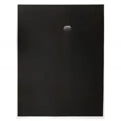 Walnut by Yōzō Hamaguchi, Mezzotint, sold May 2024
