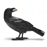 Raven IIIC by Jim Eppler, Bronze with dark patina, sold May 2024
