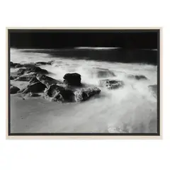 Washington Oaks #1 by Clyde Butcher, Silver gelatin print, sold Apr 2024
