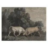 after George Stubbs, A.R.A., Bulls Fighting by George Townly Stubbs, Mezzotint with hand coloring, sold Apr 2024