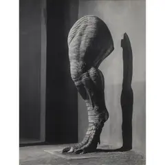 Tyrannosaurus Rex" from the series "Animal Trouve by Joan Fontcuberta, 1989, gelatin silver print, sold Aug 2023