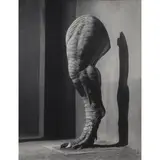 Tyrannosaurus Rex" from the series "Animal Trouve by Joan Fontcuberta, 1989, gelatin silver print, sold Aug 2023