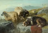 Schafe und Schäferhund in den Highlands by George William Horlor, oil on canvas, sold Dec 2017