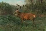 Hirsch mit Hirschkühen by Louis Henry Weston Klingender, oil on canvas, sold Dec 2017
