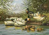 Enten by Hubert Kaplan, oil on canvas, sold Dec 2017