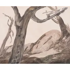 Untitled (Gray Trees) by John O'Shea, watercolor, sold Jul 2023