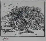 L'Arbre et Le Paysage by Aristide Maillol, woodcut print, sold Jul 2023