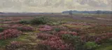 Heathland and woodland in the New Forest Two by Frederick Golden Short, 1925, oil on canvas, sold Dec 2016