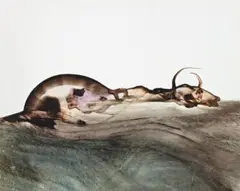 Carcass by Sidney Nolan, oil on paper, sold Apr 2010