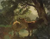 Kühe im Wasser, unter einem Baum by Rudolf Koller, oil, offered Dec 2017