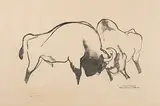 Büffelkampf by Robert Hainard, 1956, woodcut, sold Dec 2017