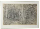 Woods in Summer by Richard Claude Ziemann, etching, sold Jul 2026