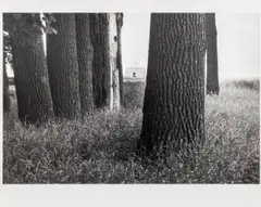 Farm Ralph D. Johnson Casselton by André Kertész, 1978, Gelatin Silver Print, sold Feb 2025