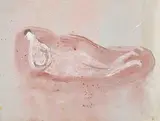 Liegender Akt by Zoran Mušič, 1961, oil on canvas, sold Jun 2017