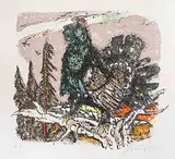 Auerhahn by Alois Carigiet, 1973, color lithograph, sold Jun 2017