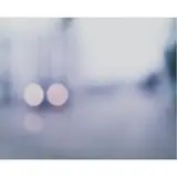Field #9 by Uta Barth, 1996, chromogenic print on panel, sold Nov 2023