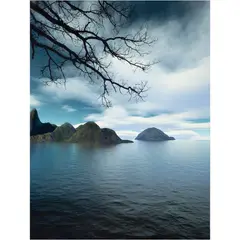 Orogenesis: Dali (The Man) by Joan Fontcuberta, 2004, photograph, sold Nov 2023