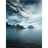 Orogenesis: Dali (The Man) by Joan Fontcuberta, 2004, photograph, sold Nov 2023