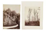 Untitled by Roger Fenton, photograph, offered Nov 2022